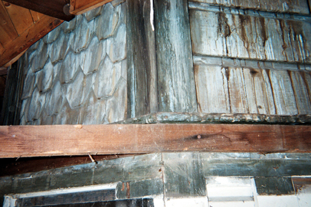 porch_revealed_2_fishscale