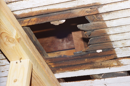 Stovepipe_hole_ceiling